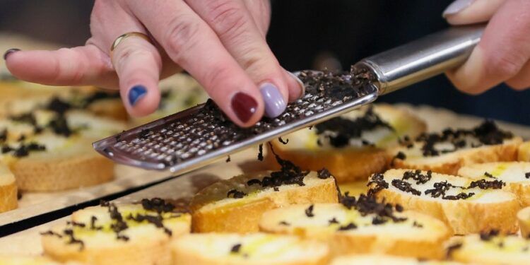 La VII Feria Valenciana de la Trufa de Andilla llega a La Pobleta con gastronomía, tradición y sabor