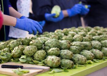 Campanar celebra su VII Festa de la Carxofa con mercado, tapas y una gran torrà de alcachofas