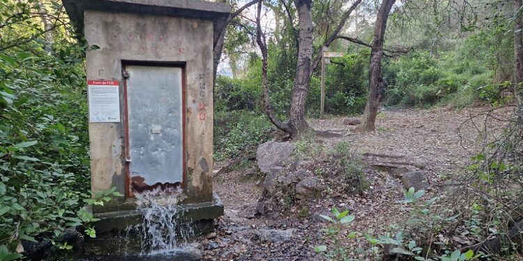 La Font de l’Ull de Xeraco, una sencilla ruta entre montañas que es espectacular tras fuertes lluvias