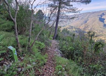 El Itinerari Botànic de la Ombria de Benirrama, una sencilla ruta para disfrutar en la Vall de Gallinera