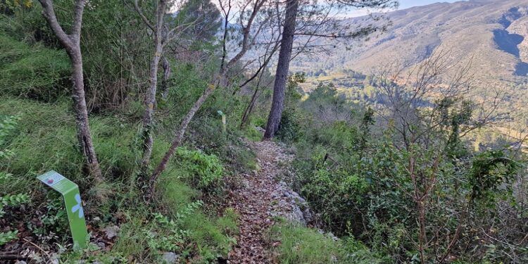 El Itinerari Botànic de la Ombria de Benirrama, una sencilla ruta para disfrutar en la Vall de Gallinera
