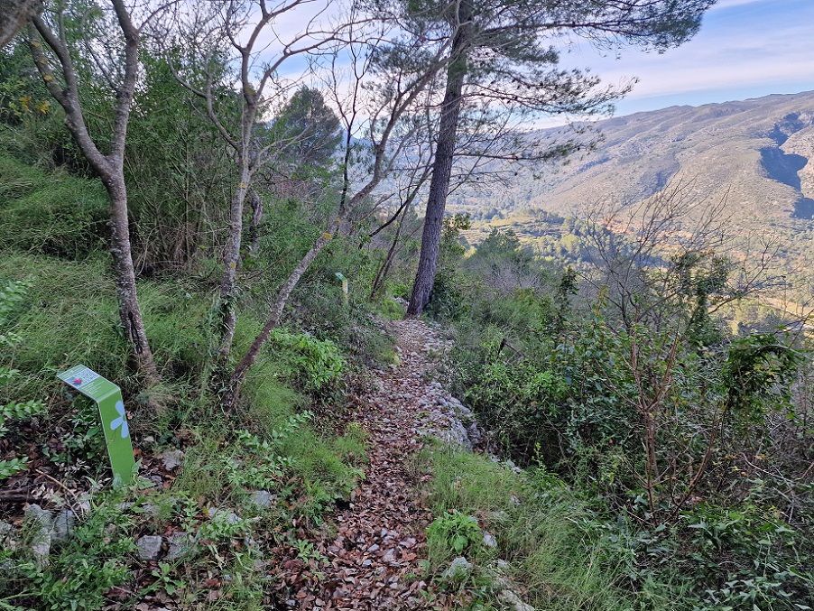 El Itinerari Botànic de la Ombria de Benirrama, una sencilla ruta para disfrutar en la Vall de Gallinera