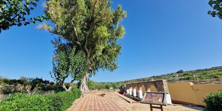 La Rana de Gata de Gorgos, un pequeño paraje lleno de historia testigo de siglos de vida agrícola