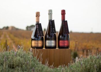 Una bodega valenciana vuelve a ser la más premiada de España por la crítica especializada del vino