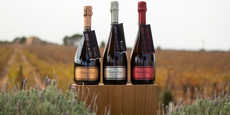 Una bodega valenciana vuelve a ser la más premiada de España por la crítica especializada del vino
