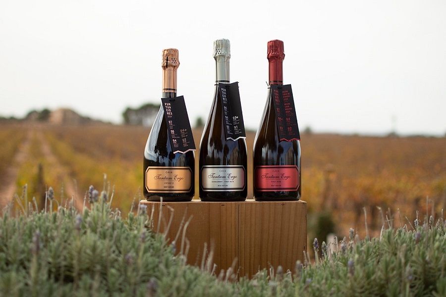Una bodega valenciana vuelve a ser la más premiada de España por la crítica especializada del vino