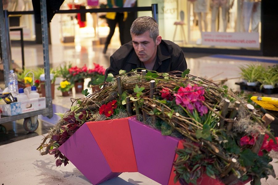 La competición floral más importante de España llega a Valencia para llenar de flores La Pechina