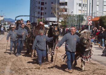 La gran fiesta de Sant Antoni de la Mar vuelve a la playa de la Pobla de Farnals llena de tradiciones