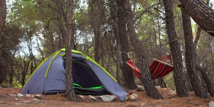 Zonas de acampada en la Comunitat Valenciana en 2026, guía actualizada con toda la información