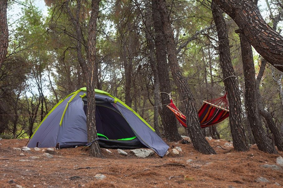 Zonas de acampada en la Comunitat Valenciana en 2026, guía actualizada con toda la información