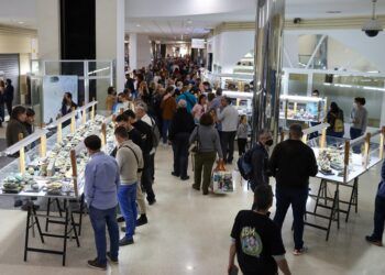 Torrent acoge de nuevo la mayor feria de modelismo de Europa en su 30º aniversario