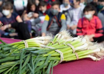FirAll Xàtiva 2026, la feria del ajo tierno, celebra este próximo fin de semana su décimo aniversario