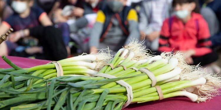 FirAll Xàtiva 2026, la feria del ajo tierno, celebra este próximo fin de semana su décimo aniversario
