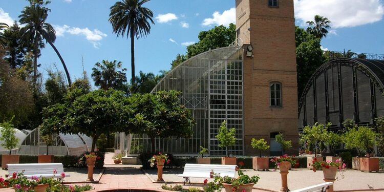 Jornada de puertas abiertas en el Jardín Botánico de Valencia para dar la bienvenida a la primavera