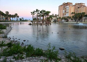La Goleta de Tavernes de la Valldigna, un lago urbano que recrea un ecosistema de marjal