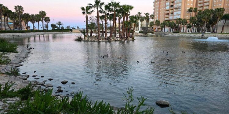 La Goleta de Tavernes de la Valldigna, un lago urbano que recrea un ecosistema de marjal
