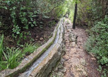 La Murta de Alzira por la Senda Botánica y la Senda Histórica: un bello y sencillo recorrido circular