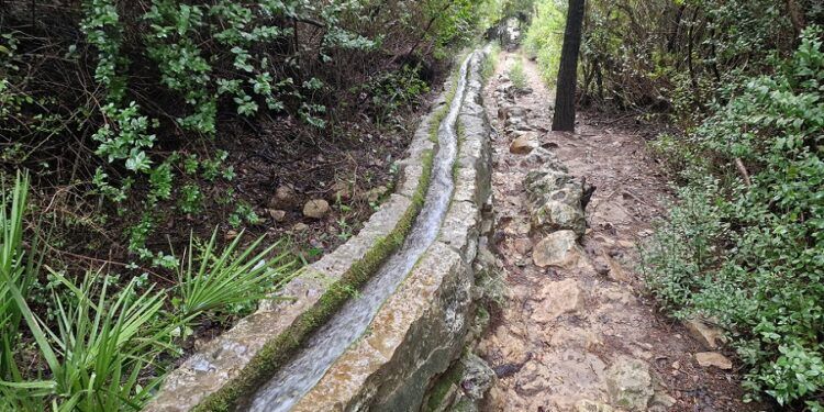 La Murta de Alzira por la Senda Botánica y la Senda Histórica: un bello y sencillo recorrido circular