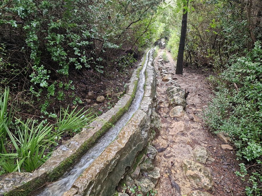 La Murta de Alzira por la Senda Botánica y la Senda Histórica: un bello y sencillo recorrido circular