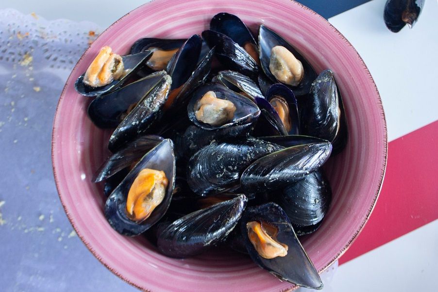 Arranca la temporada 2026 de la Clóchina de Valencia: tradición, historia gastronómica y mar