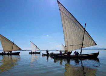 Las exhibiciones de vela latina regresan al Parque Natural de la Albufera de Valencia