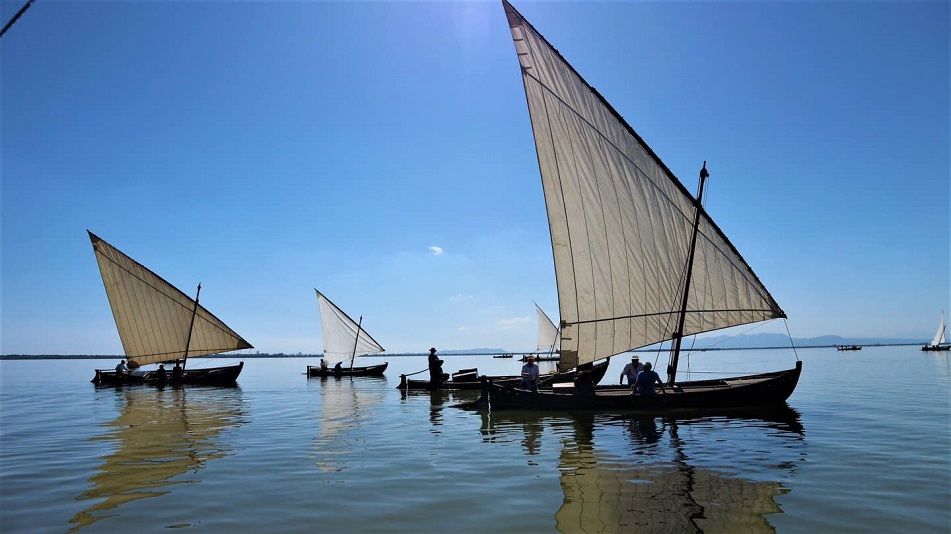 Las exhibiciones de vela latina regresan al Parque Natural de la Albufera de Valencia