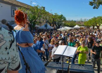 La Mostra de Vins Terres dels Alforins 2026 reúne el sábado 16 de mayo a 13 bodegas en La Font de la Figuera