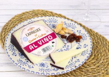 Un queso valenciano conquista el oro en el Campeonato de los Mejores Quesos de España 2026