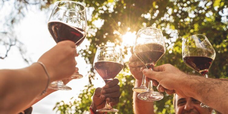 Requena celebrará un gran tardeo de vino, gastronomía, juegos y música con pequeñas bodegas del interior valenciano
