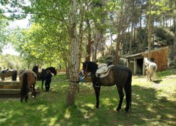 Yátova celebra en junio un gran fin de semana de tradición y gastronomía con su Feria de Turismo y Artesanía
