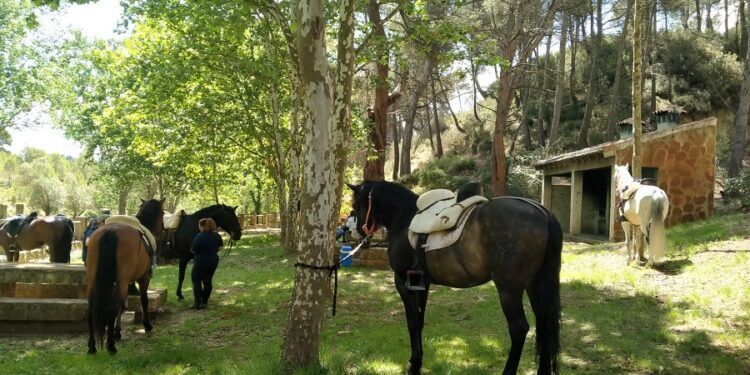 Yátova celebra en junio un gran fin de semana de tradición y gastronomía con su Feria de Turismo y Artesanía