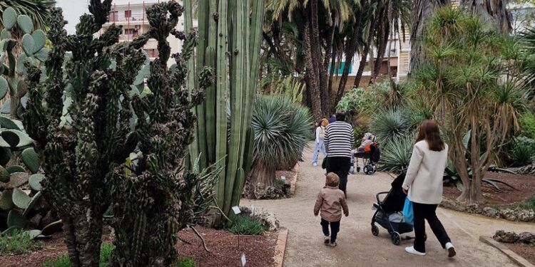 El Jardín Botánico de Valencia abre gratis dos días de mayo con visitas guiadas especiales