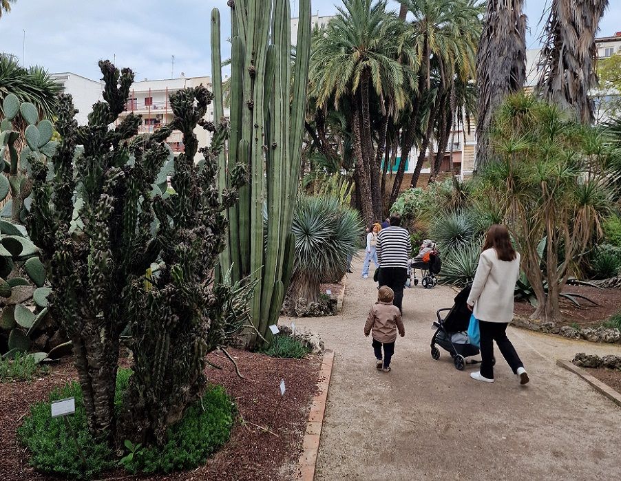 El Jardín Botánico de Valencia abre gratis dos días de mayo con visitas guiadas especiales