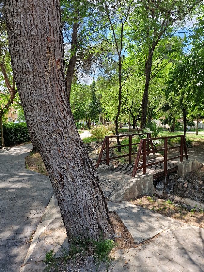 La Muntanyeta de Alberic, un enclave natural cargado de historia y simbolismo