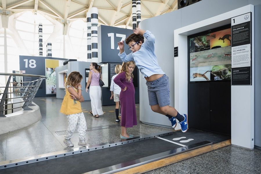El Museu de les Ciències ofrece entrada infantil gratuita con motivo del Día Internacional de los Museos