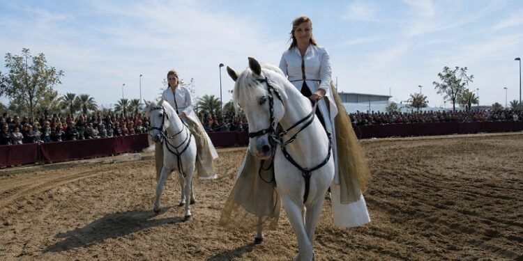 Llega Nàquera a Cavall 2026, un gran evento ecuestre gratuito con paseos en carruaje y bautismos con caballos