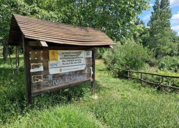 Abandono en els Ullals del Riu Verd: el paraje de Benimodo presenta un grave deterioro pese a su alto valor ecológico