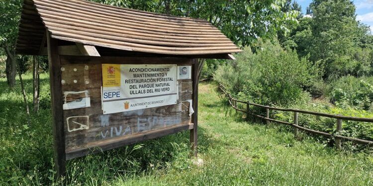 Abandono en els Ullals del Riu Verd: el paraje de Benimodo presenta un grave deterioro pese a su alto valor ecológico