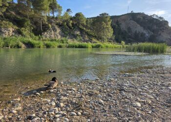La playa fluvial de Bugarra encara otro verano en punto muerto: la reconstrucción prometida no llega
