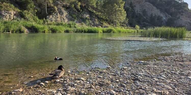 La playa fluvial de Bugarra encara otro verano en punto muerto: la reconstrucción prometida no llega