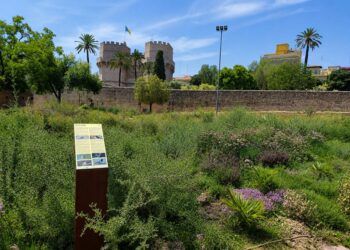 Valencia estrena un jardín con refugios para murciélagos, cajas nido para aves y 7.979 plantas para atraer a las abejas