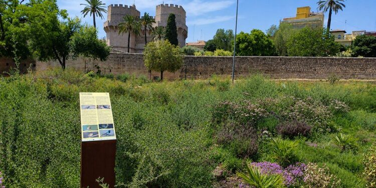 Valencia estrena un jardín con refugios para murciélagos, cajas nido para aves y 7.979 plantas para atraer a las abejas
