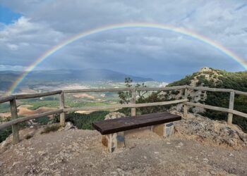 Una nueva app gratuita permite consultar rutas, actividades y reservar plazas en los parques naturales valencianos