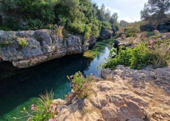 Un cañón natural de aguas cristalinas entre Anna y Enguera donde refrescarse en verano