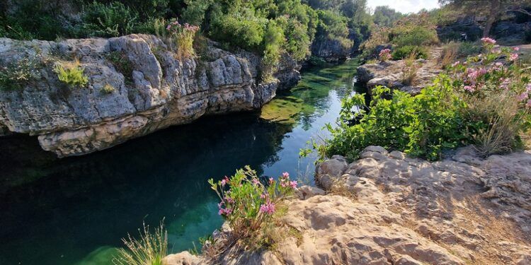 Un cañón natural de aguas cristalinas entre Anna y Enguera donde refrescarse en verano