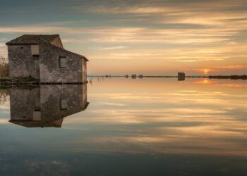 El IVAM presenta una gran exposición sobre la Albufera que recorre más de 170 años de historia