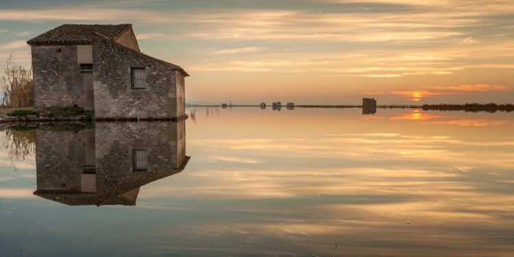 El IVAM presenta una gran exposición sobre la Albufera que recorre más de 170 años de historia