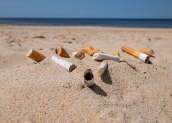 Playas sin humo en la Comunitat Valenciana en 2026: todas las playas, calas y espacios adheridos