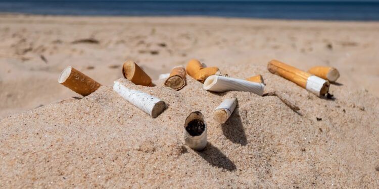 Playas sin humo en la Comunitat Valenciana en 2026: todas las playas, calas y espacios adheridos
