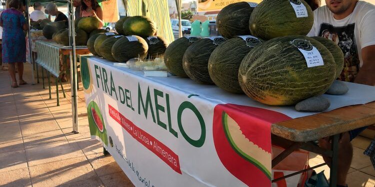 La feria del melón más famosa de Castellón se celebra cada verano junto al mar con degustaciones y actividades familiares
